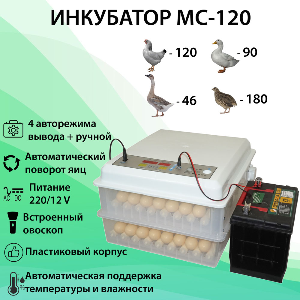 Инкубатор на 120 яиц. Питание 220/12В. Купить с доставкой