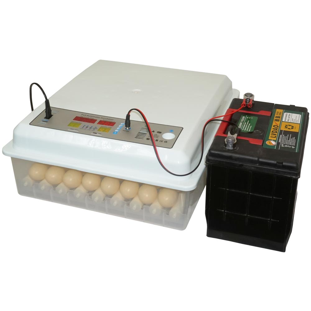 Автоматический переворот яиц в самодельном инкубаторе