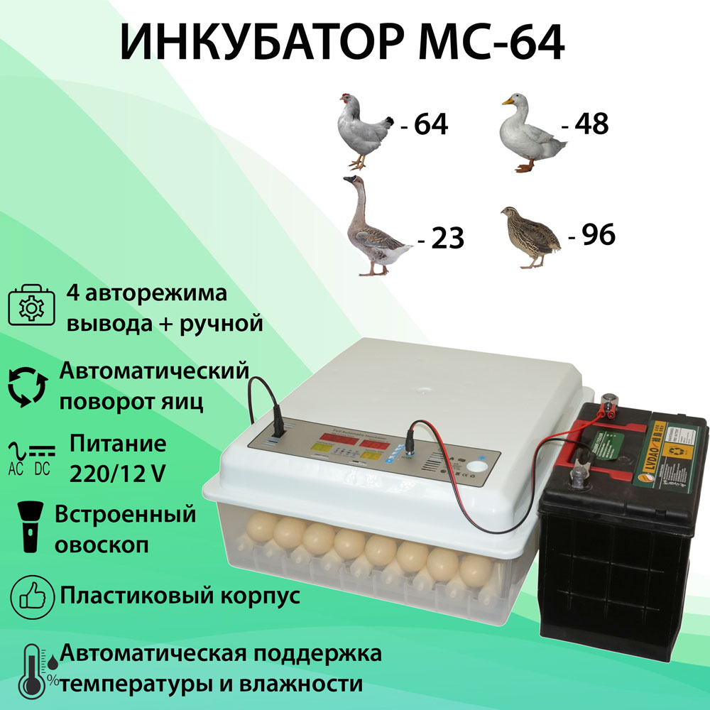 Бытовой автоматический инкубатор на 64 яйца. Купить по низкой цене