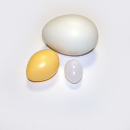 Яйца искусственные подкладные