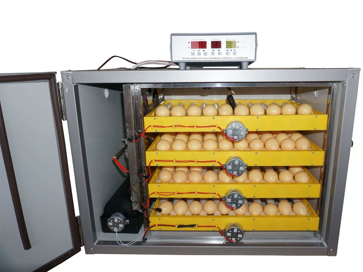 Обогрев инкубатора. Инкубатор с двойным питанием MJC. Инкубатор на 180 яиц автоматический MJC-3 220в/12в. Инкубатор на 240 яиц автоматический. Инкубатор для яиц Egg incubator QC Pass 04.