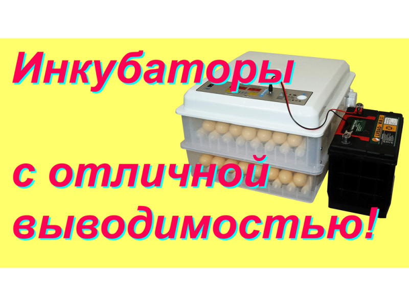 Инкубатор мс. Инкубатор мс 36. инкубатор мс 120. инкубатор аи 528. инкубатор ферматорг.