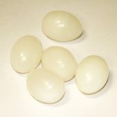 Яйца искусственные голубиные