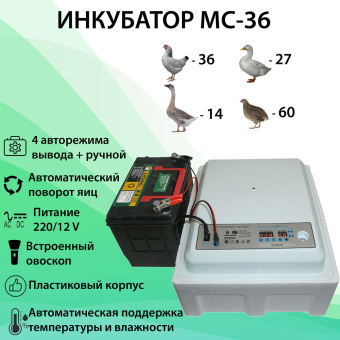 Инкубатор автоматический МС-36