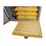 Этапы инкубации куриного яйца